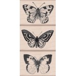 LP215 Three Artistic Butterflies
